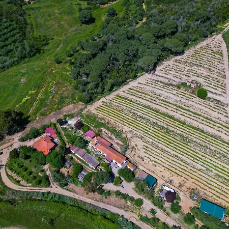 Podere Al Buraccio - Elba Affitti Apartamento Portoferraio
